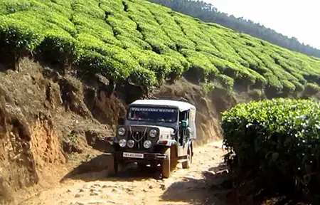 Kolukkumalai jeep safari at Varkis Munnar