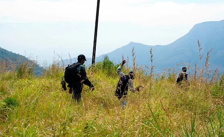 Trekking at Varkis Munnar
